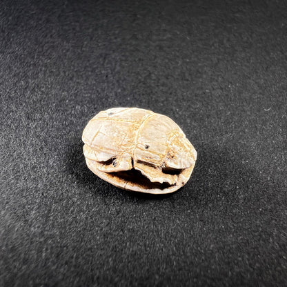 Egyptian Steatite Scarab