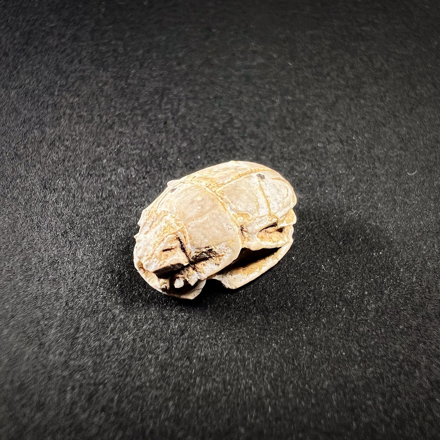 Egyptian Steatite Scarab