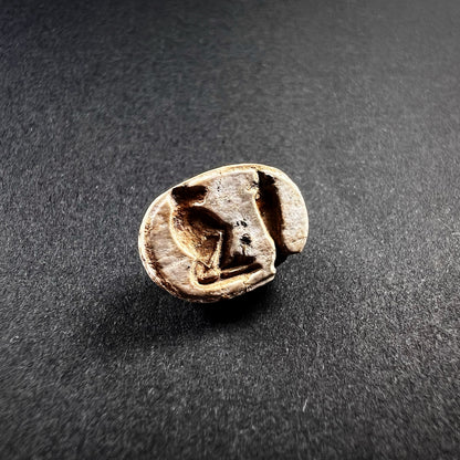Egyptian Steatite Scarab
