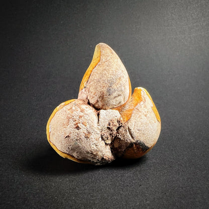 Ming Dynasty Pottery Miniature Food Offering