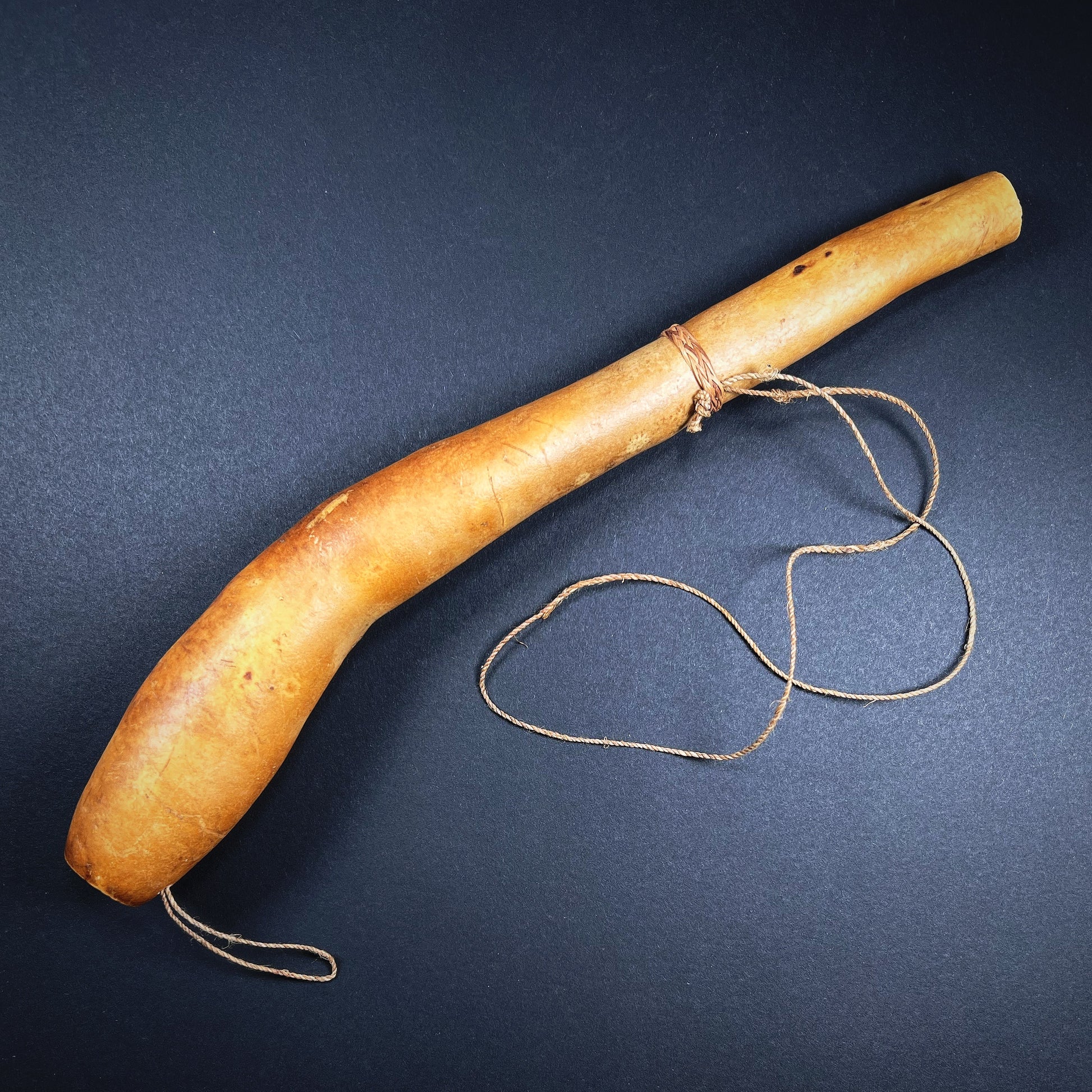 penis tobacco pipe penis-sheath Dani Penis Gourd Sheath (Koteka)