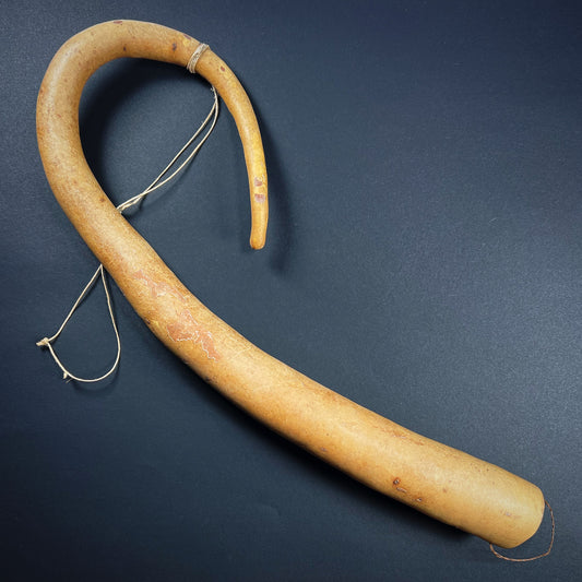 Dani Penis Gourd Sheath Koteka