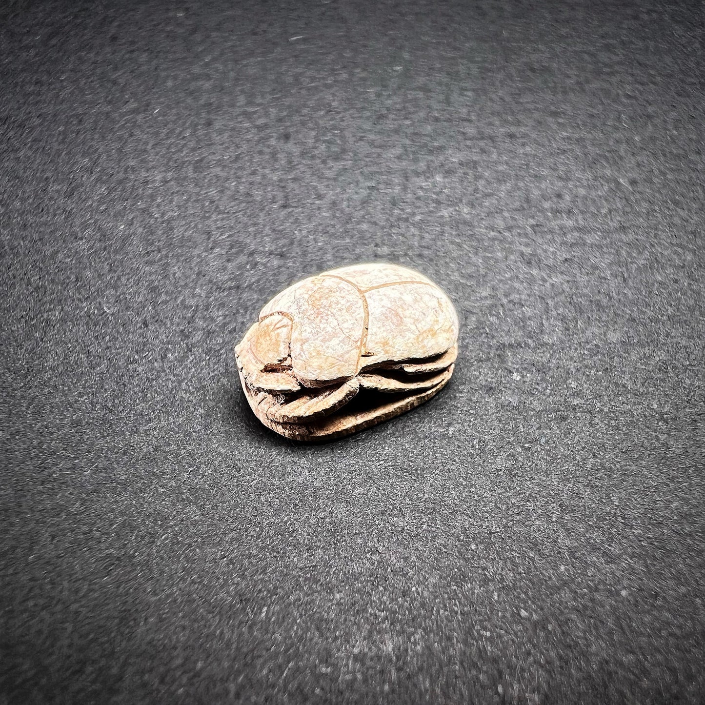 Egyptian Steatite Scarab