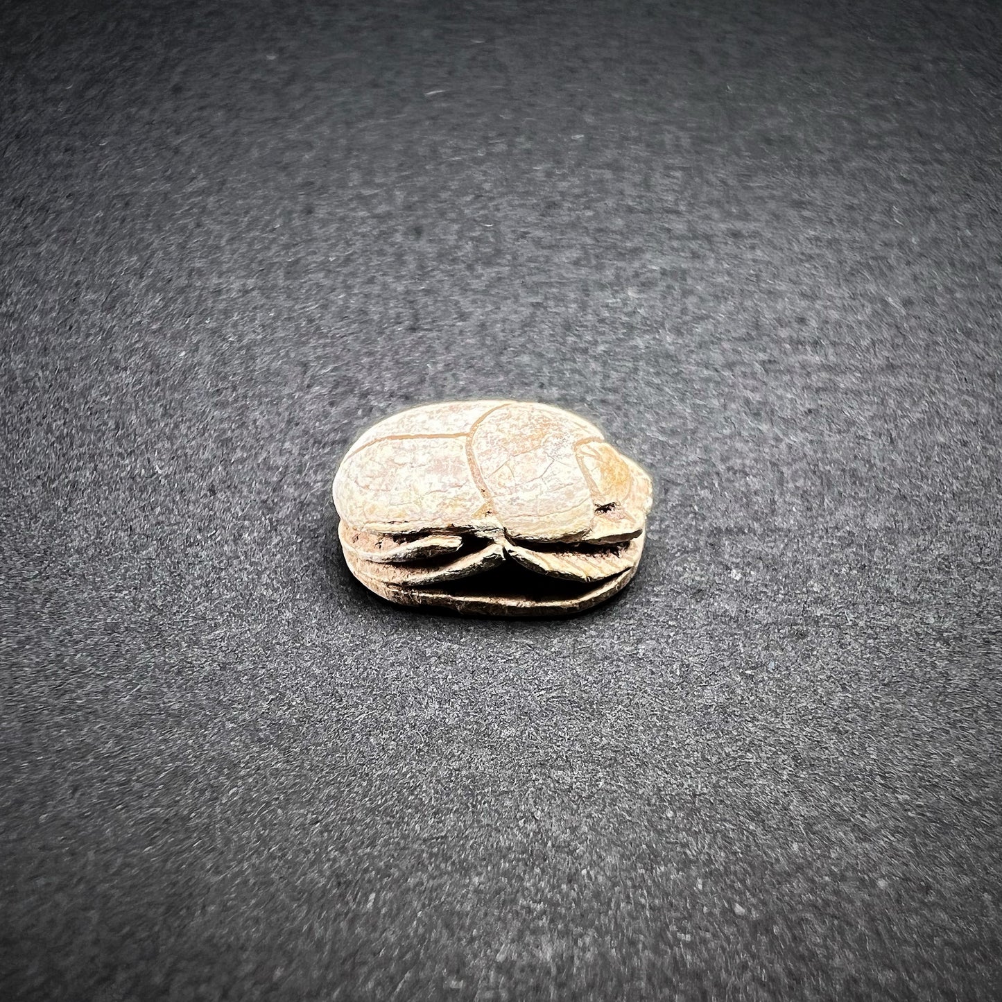 Egyptian Steatite Scarab