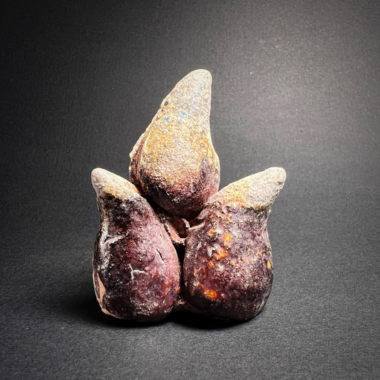 Ming Dynasty Pottery Miniature Food Offering