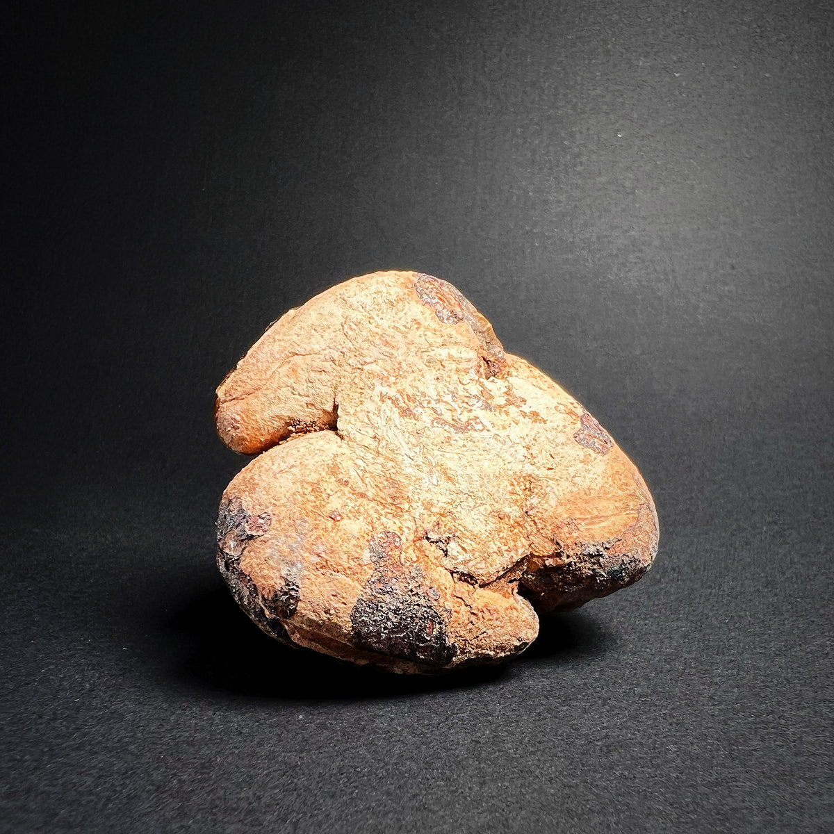 Ming Dynasty Pottery Miniature Food Offering