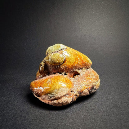 Ming Dynasty Pottery Miniature Food Offering