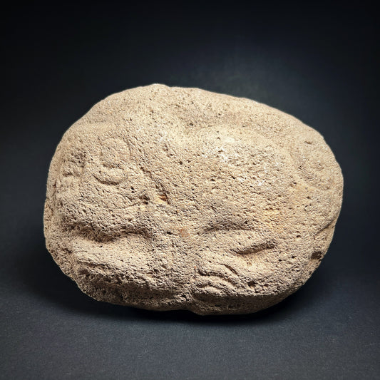 Pre-Columbian Chavín Jaguar Stone Sculpture