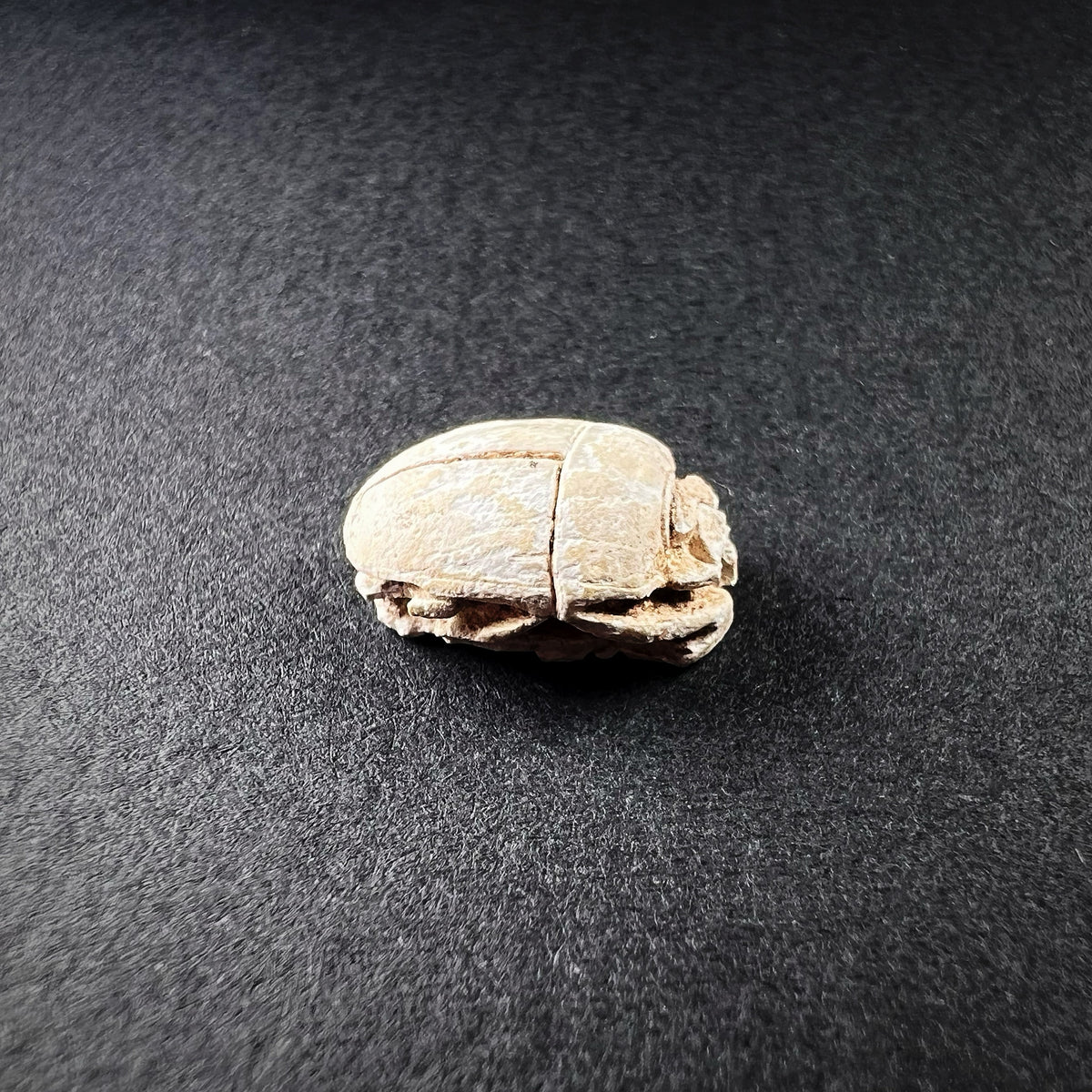 Egyptian Steatite Scarab