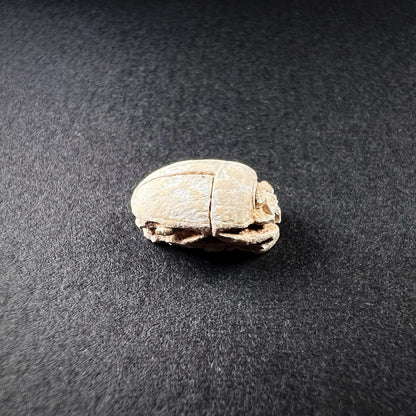 Egyptian Steatite Scarab