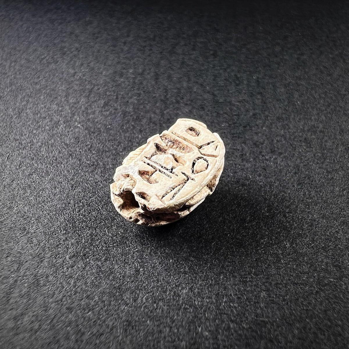 Egyptian Steatite Scarab