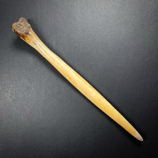 Asmat Cassowary Bone Dagger Pi Pisuwe