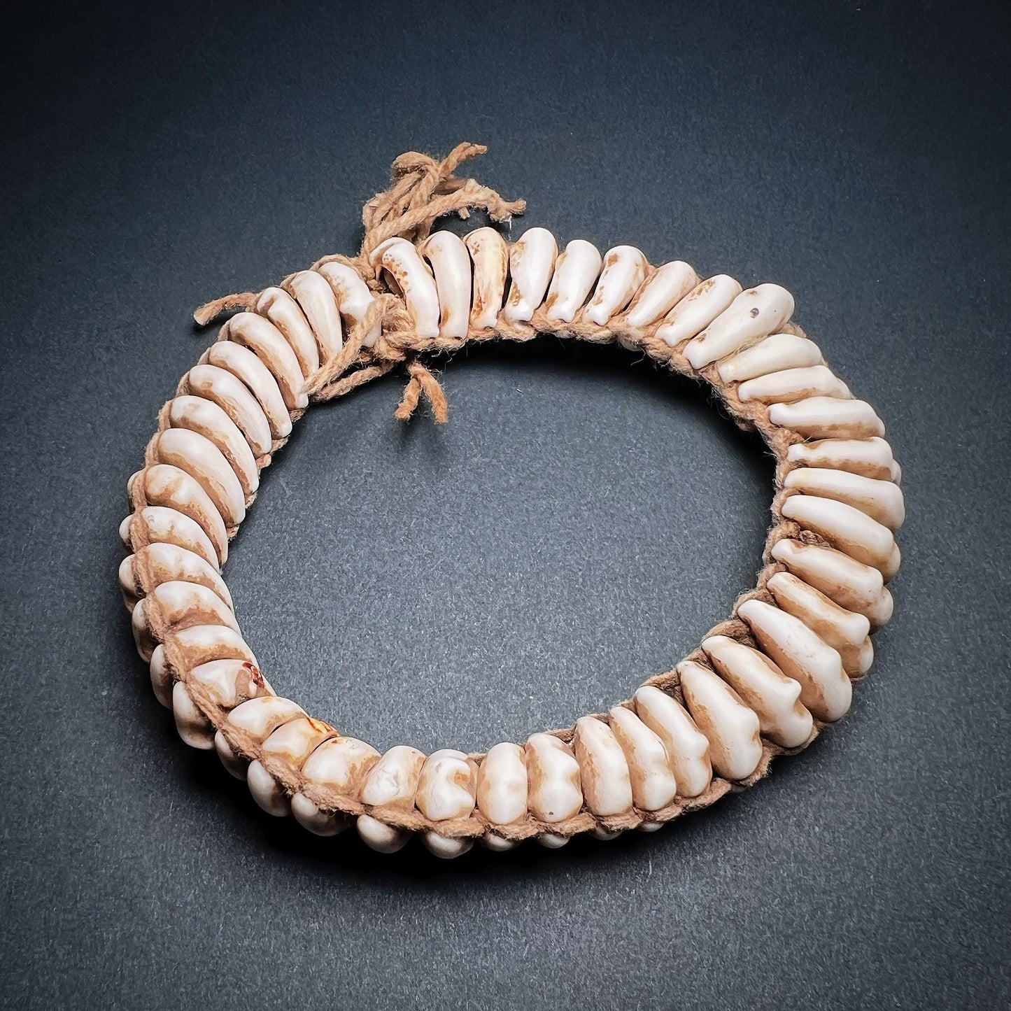 Toussian Cowrie Shell Currency Armlet