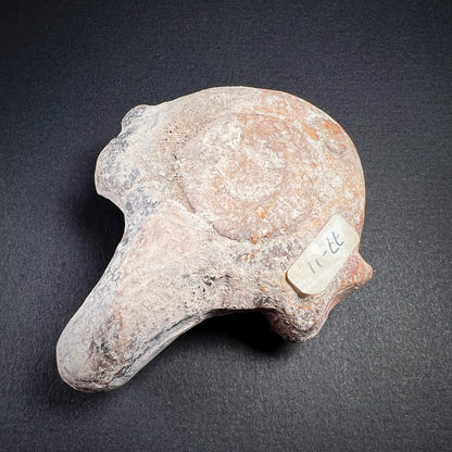 Hellenistic Ptolemaic Period Pottery Oil Lamp