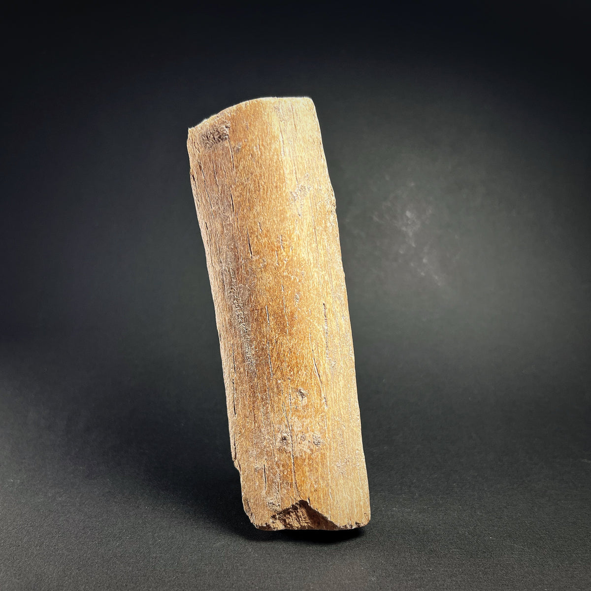 Roman Bone Plaque with Nude Venus  