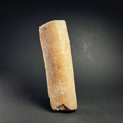 Roman Bone Plaque with Nude Venus  