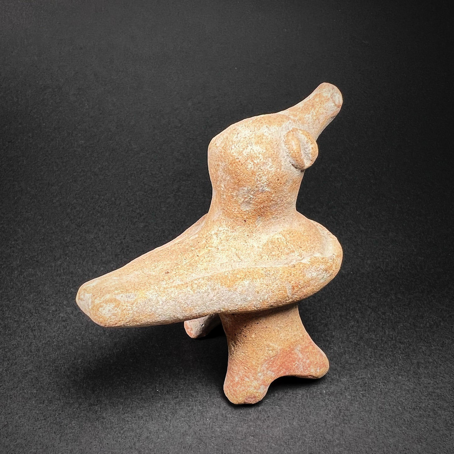 Colima Terracotta Figurine of Bird