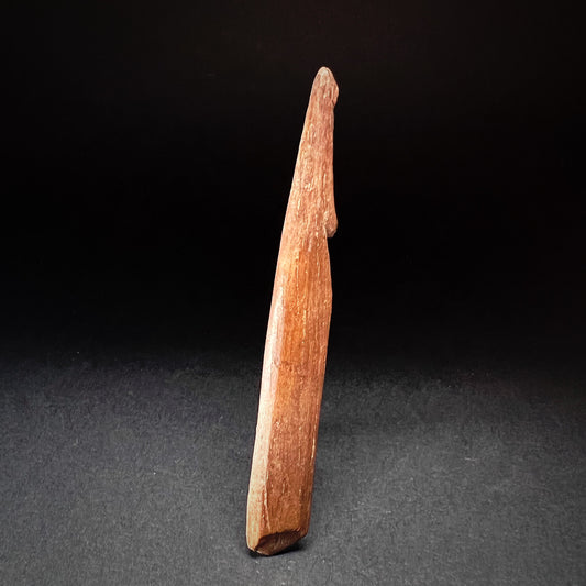 Danish Mesolithic Period Barbed Bone Point