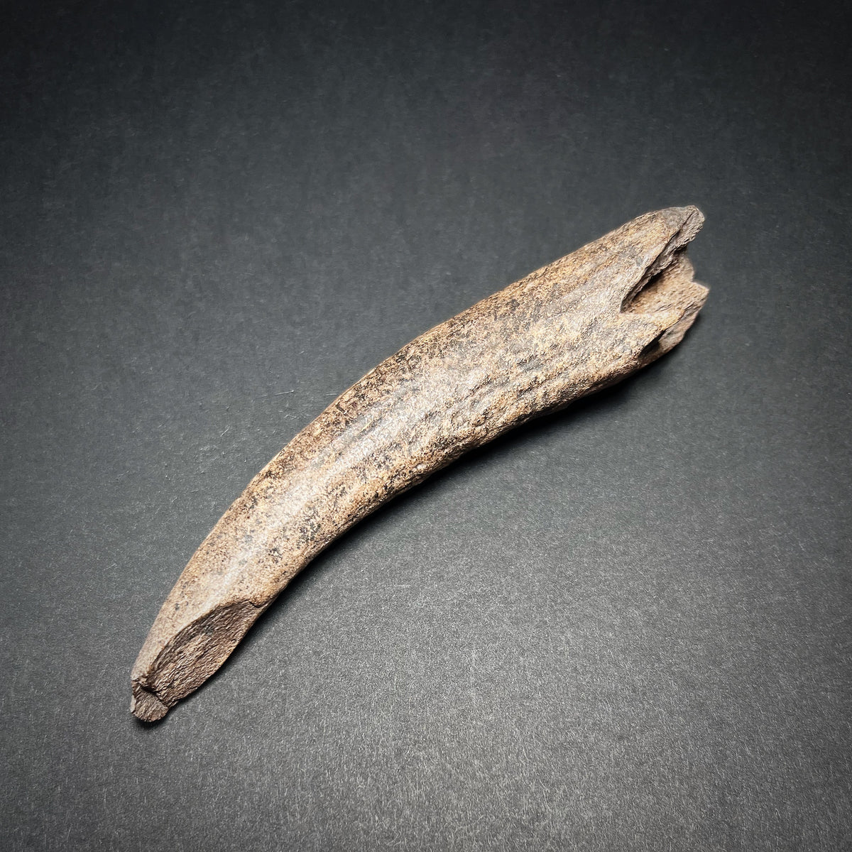 Mesolithic Inventions Mesolithic Tools Microlith Wikipedia