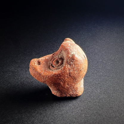 Ancient Peshawar Terracotta Monkey Figure Fragment