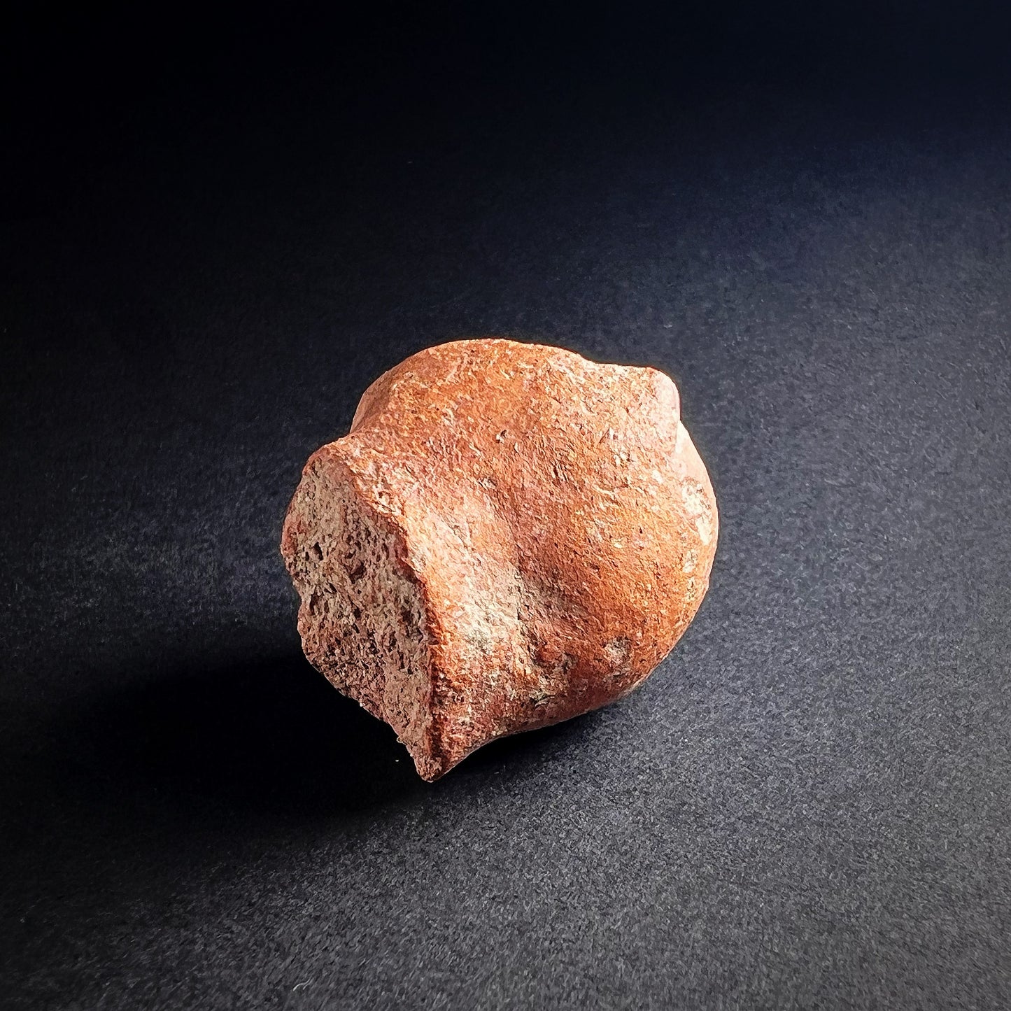 Ancient Peshawar Terracotta Monkey Figure Fragment