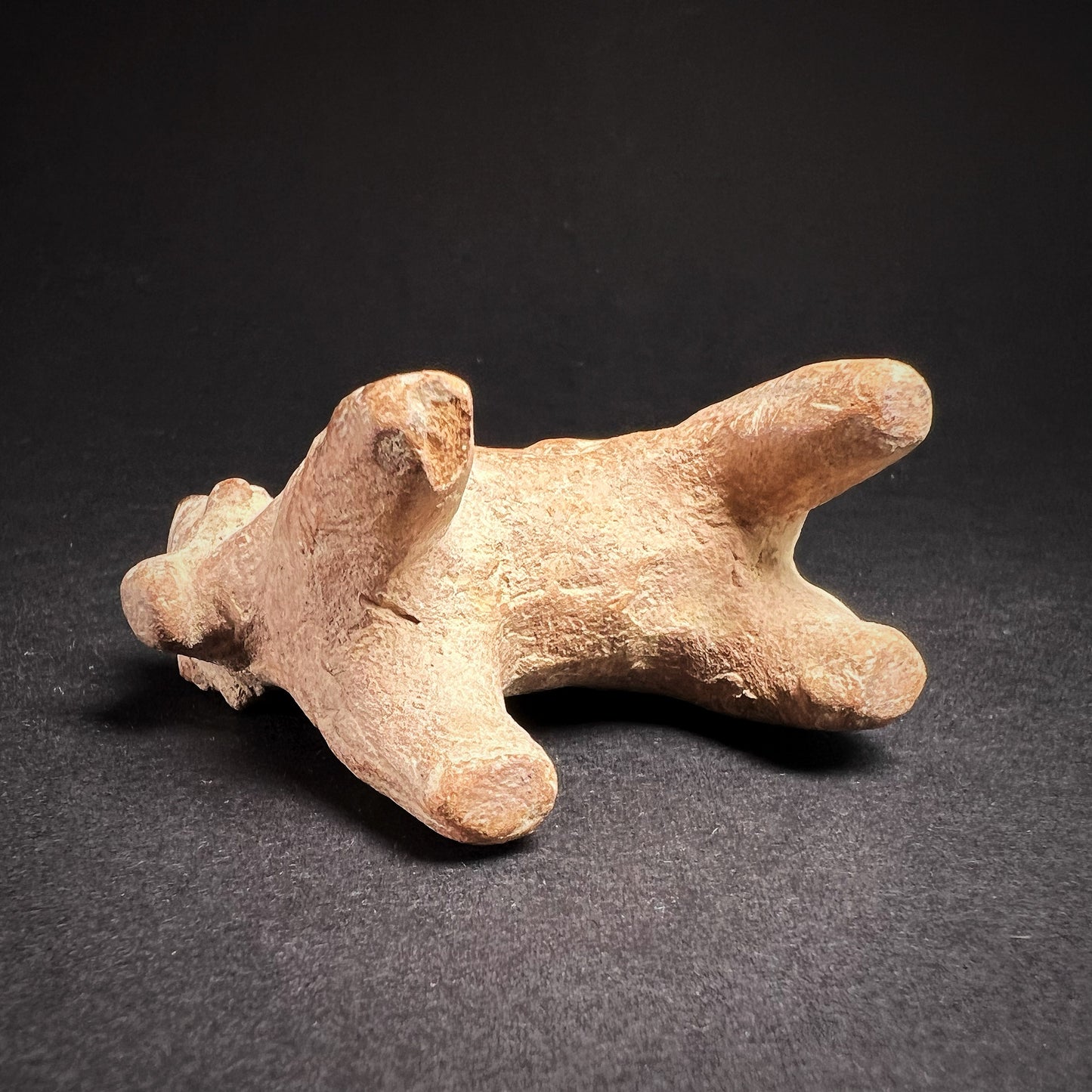 Early Harappan Terracotta Bull Figurine