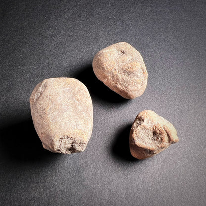 Mayan Terracotta Head Fragments
