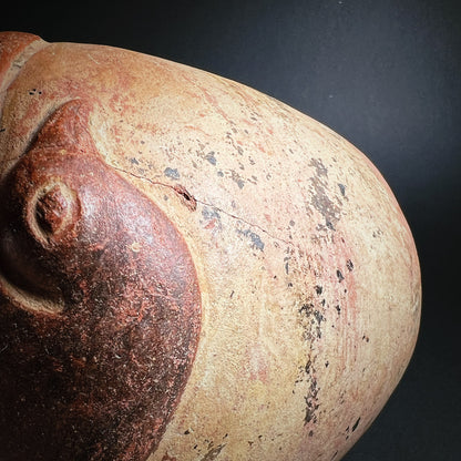 Moche Pottery Stirrup Spout Bottle with Raised Bird Decoration