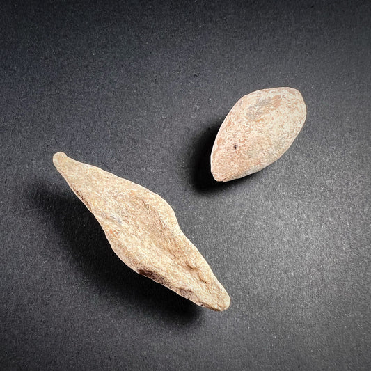 A Pair of Roman Lead Sling Bullets (Glans)