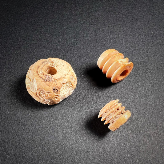 Early Islamic Bone Spindle Whorls