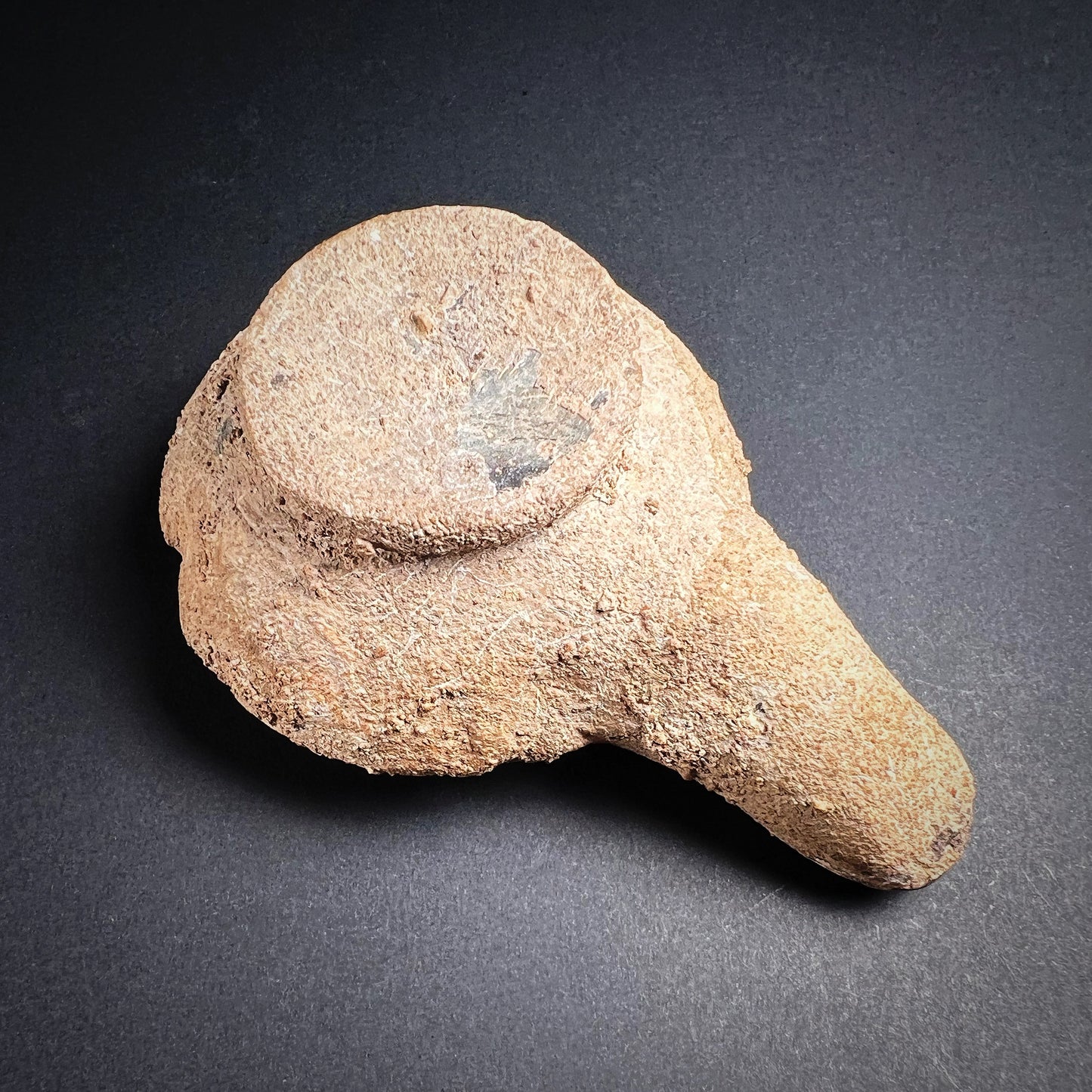 Hellenistic Ptolemaic Period Pottery Oil Lamp