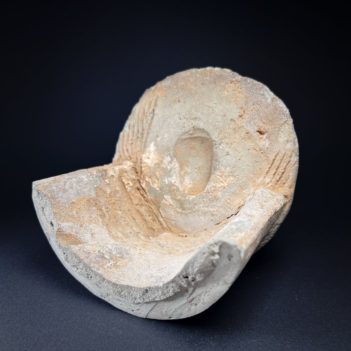 Ming Dynasty Pottery Roof Tile End Fragment with Taotie Mask