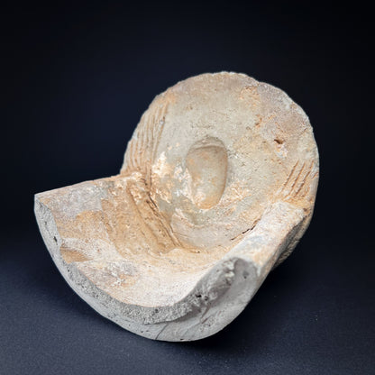 Ming Dynasty Pottery Roof Tile End Fragment with Taotie Mask