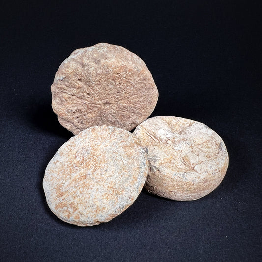 Roman to Medieval Lead Trading Weights