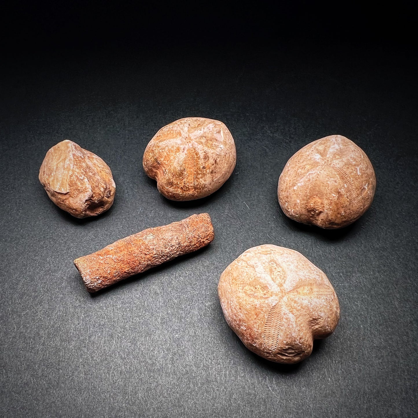 Neolithic Tenerian Culture Stone Grave Goods or Amulets