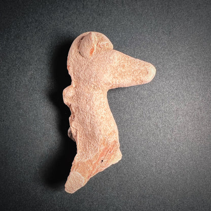 Cypro-Archaic Terracotta Horse Figurine Fragment