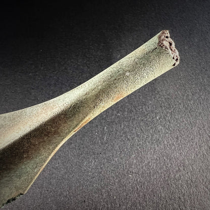 Luristan Bronze Socketed Spearhead