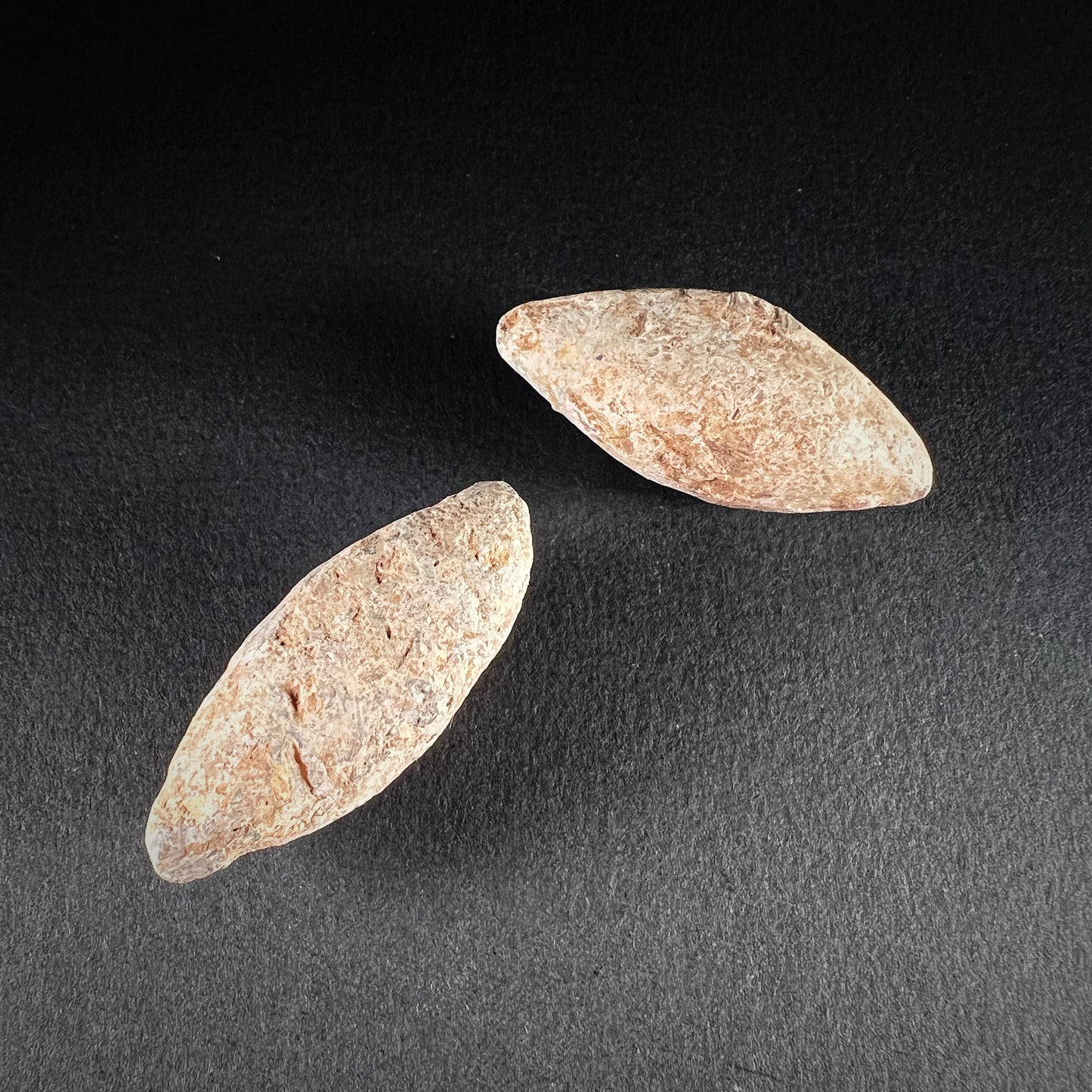 A Pair of Roman Lead Sling Bullets (Glans)