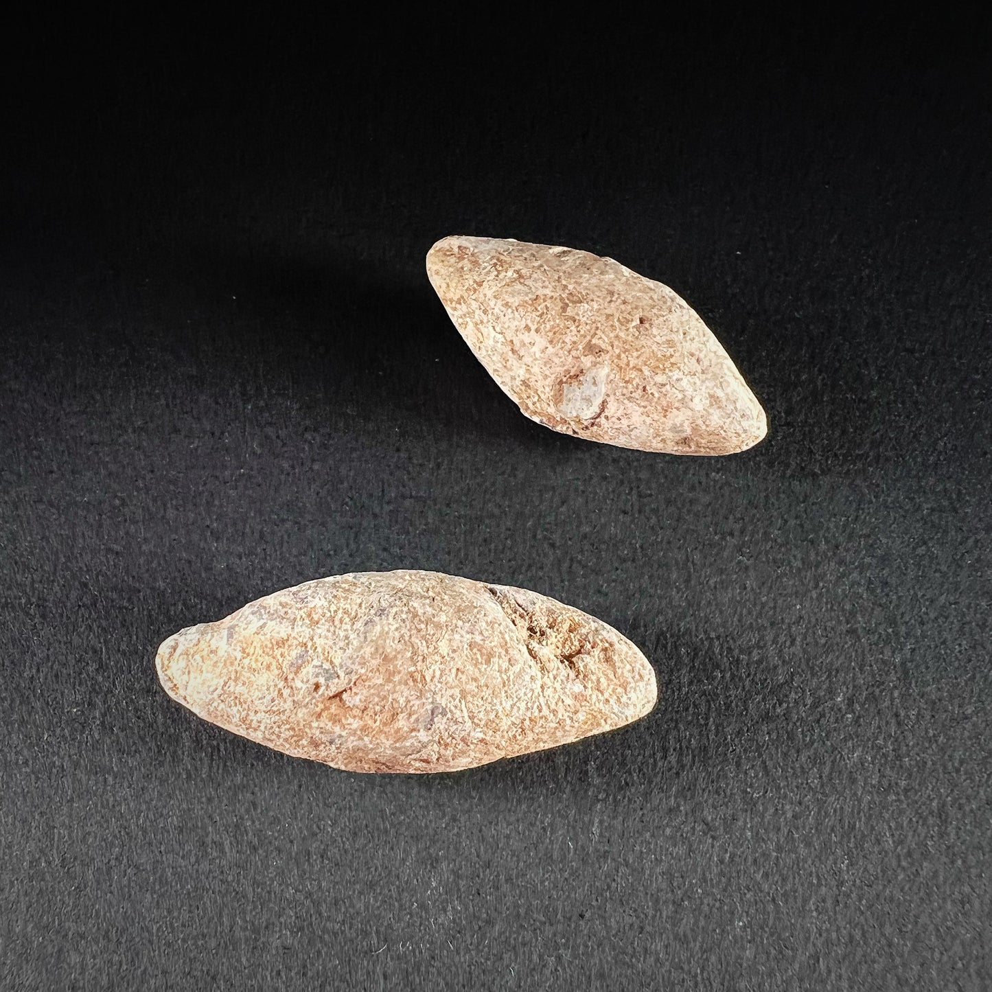 A Pair of Roman Lead Sling Bullets (Glans)