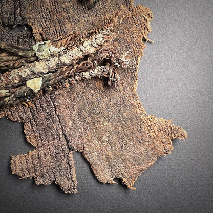 Viking Age Cloth Fragments with Bronze Ring Adornments