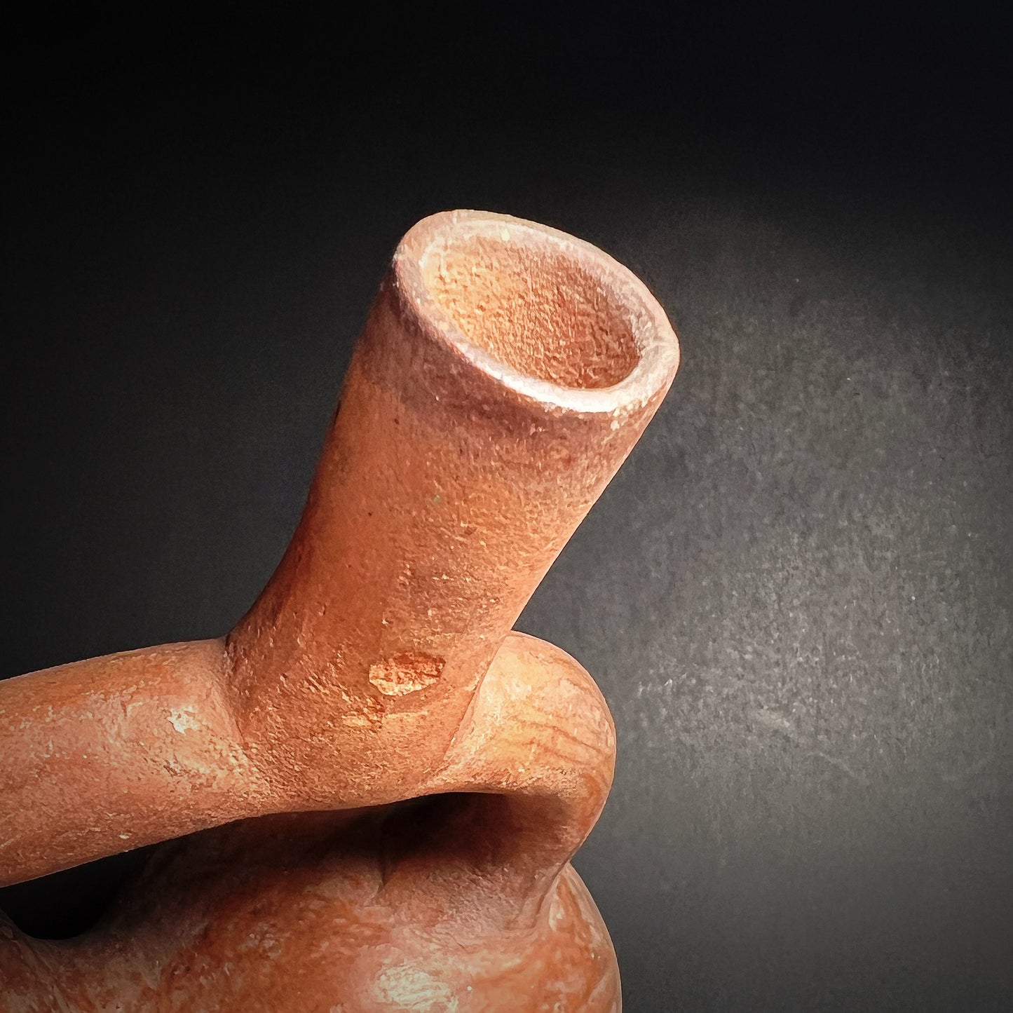 Moche Pottery Double-Chambered Stirrup Spout Bottle in the Form of a Parrot