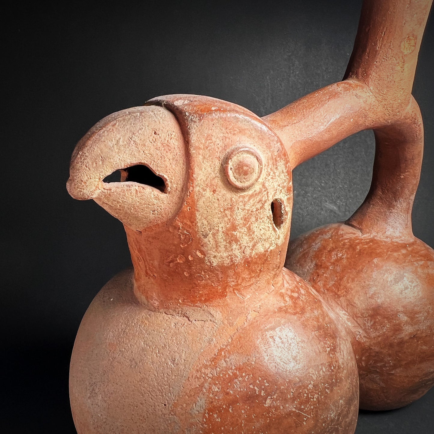 Moche Pottery Double-Chambered Stirrup Spout Bottle in the Form of a Parrot