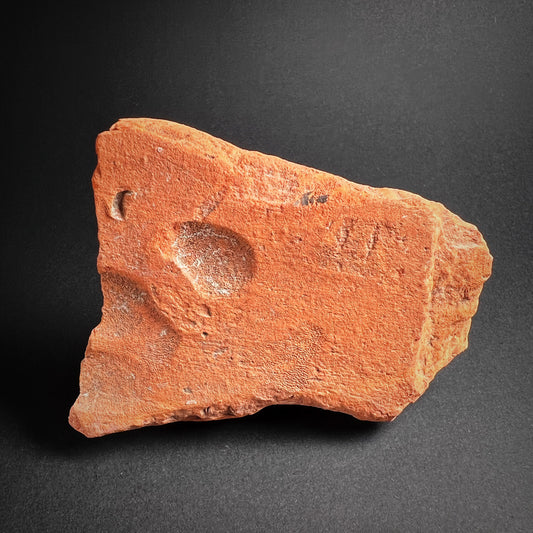 Roman Roof Tile Fragment with Dog Paw Print