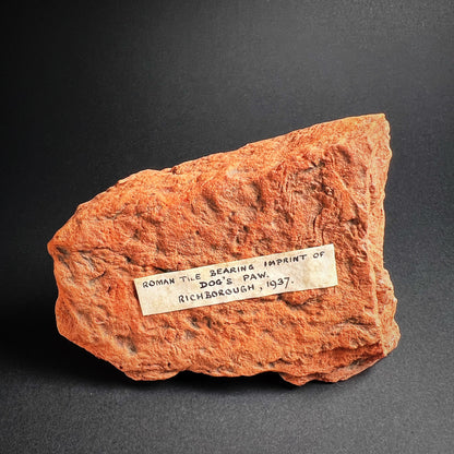 Roman Roof Tile Fragment with Dog Paw Print