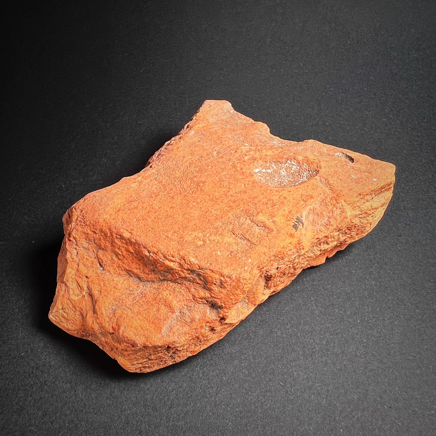 Roman Roof Tile Fragment with Dog Paw Print