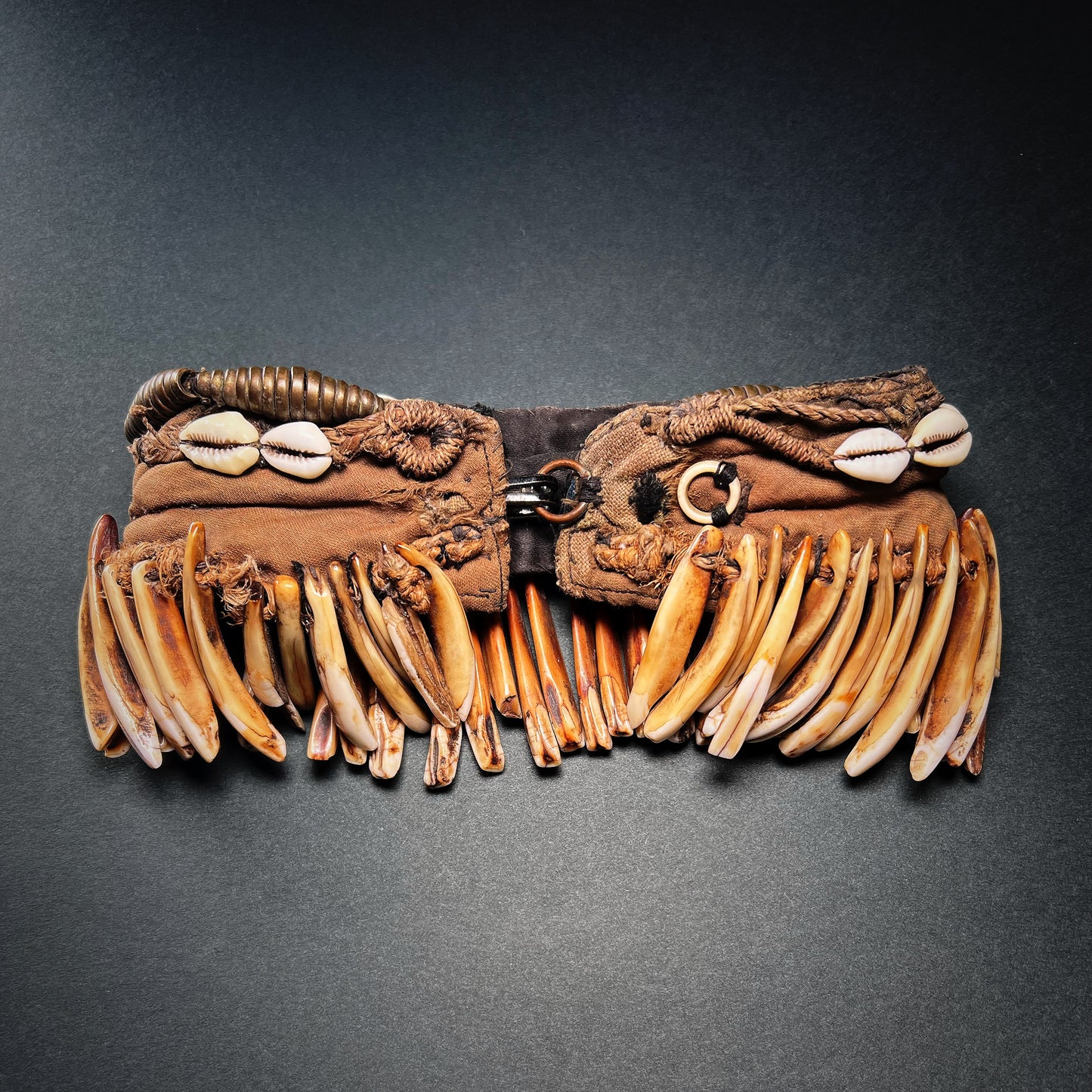 Konyak Naga Bronze and Teeth Pectoral Ornament