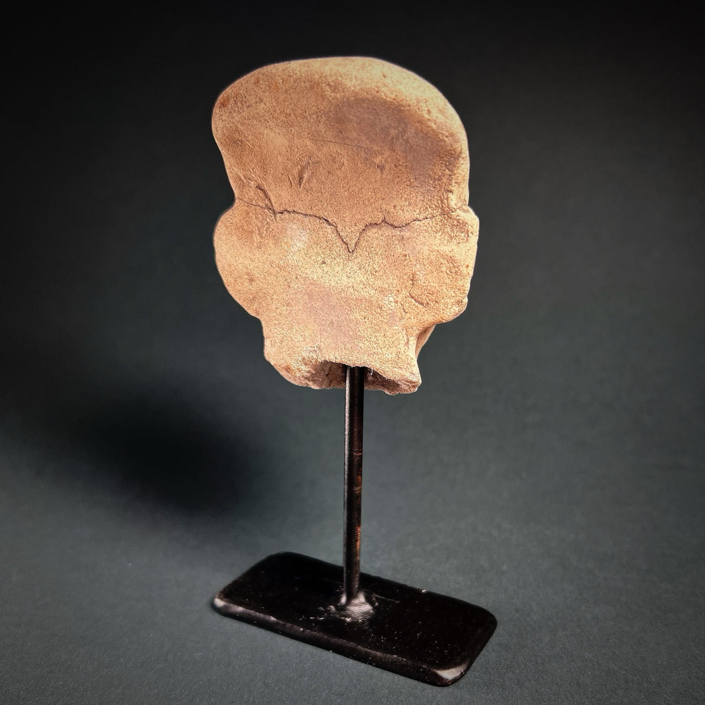 La Tolita-Tumaco Grey Ware Head Fragment