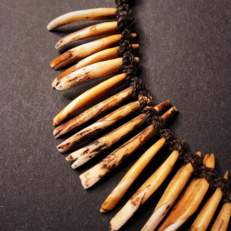 Sold at Auction: Very old New Guinea animal tooth necklace.