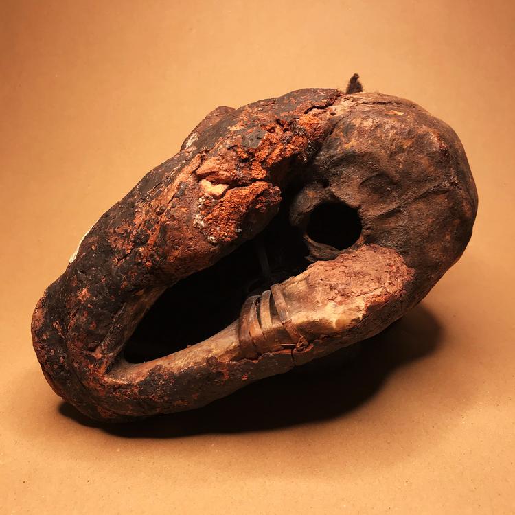Iatmul Overmodeled Human Skull