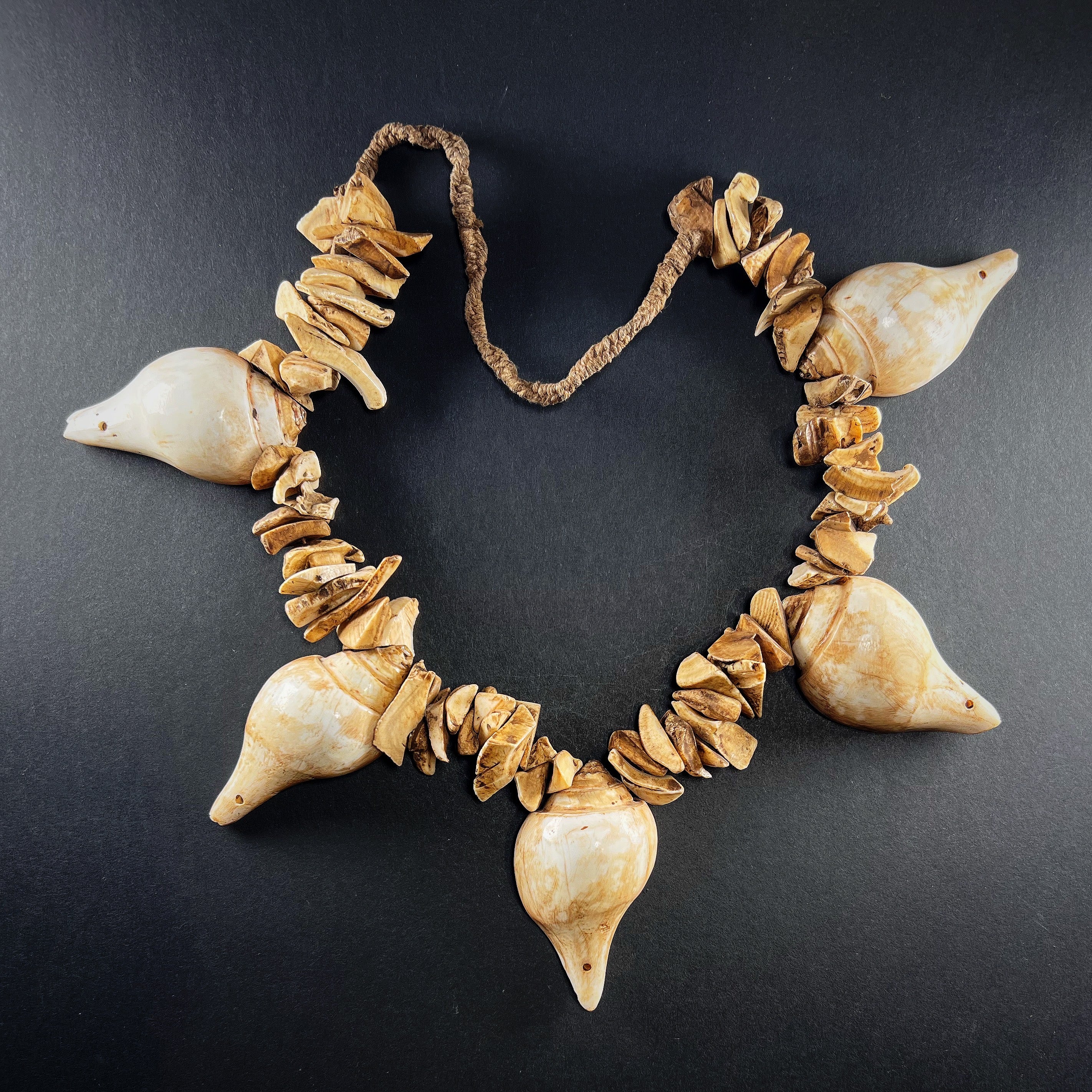 Cream beaded shell necklace | DamnReginaStudio